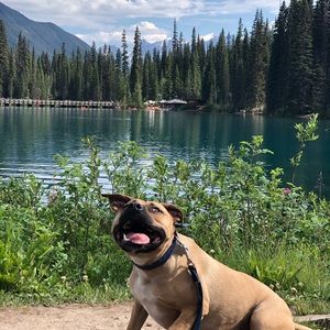 Meet your Posher, Kate